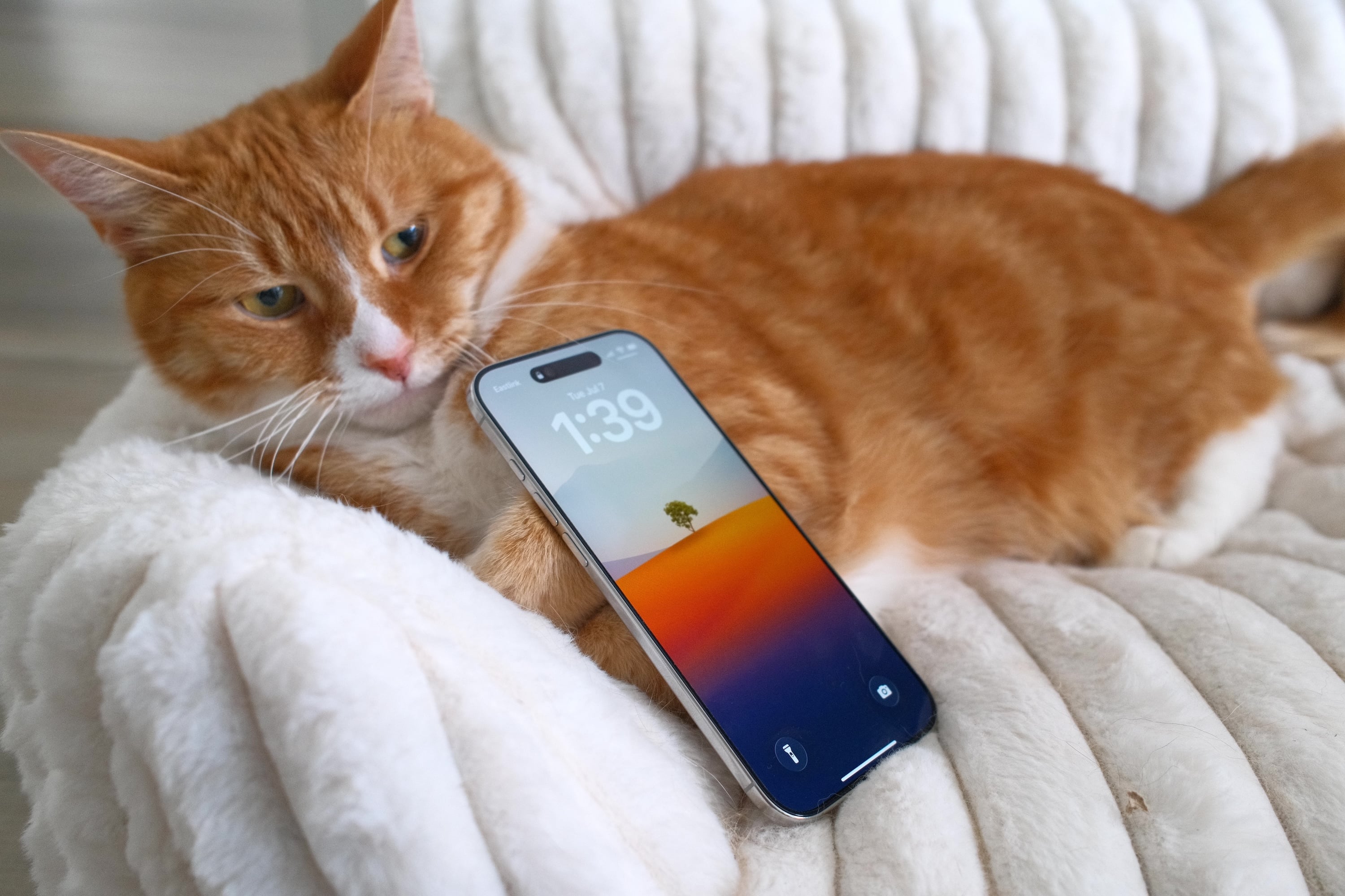 I have thoughts on the iPhone Air